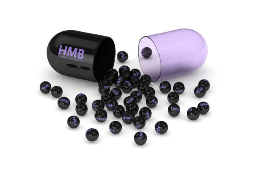 HMB 