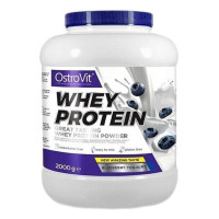 Протеїн Whey Protein OstroVit 2000 g Blueberry joghurt Чорничний йогурт